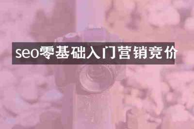 seo零基础入门营销竞价