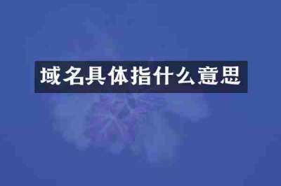 域名具体指什么意思
