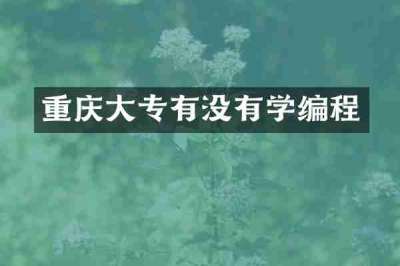 重庆大专有没有学编程