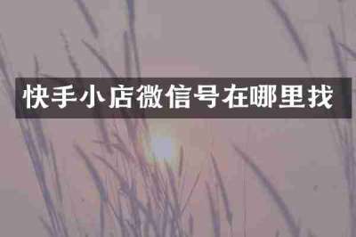 快手小店微信号在哪里找