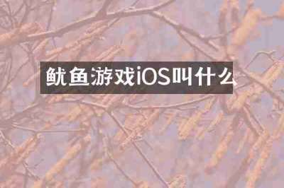 鱿鱼游戏iOS叫什么
