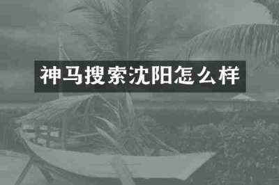 神马搜索沈阳怎么样