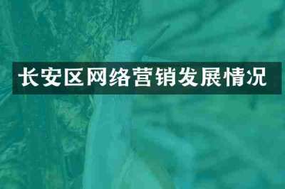 长安区网络营销发展情况