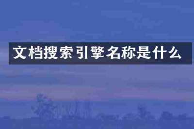 文档搜索引擎名称是什么