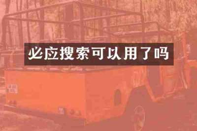 必应搜索可以用了吗