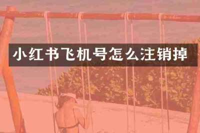 小红书飞机号怎么注销掉