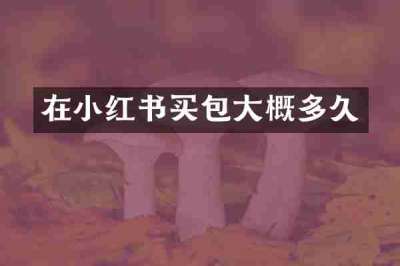 在小红书买包大概多久