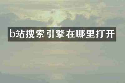 b站搜索引擎在哪里打开