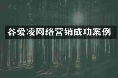 谷爱凌网络营销成功案例