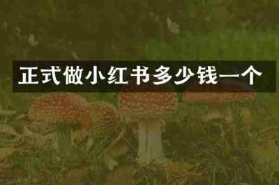 正式做小红书多少钱一个