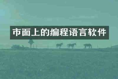 市面上的编程语言软件