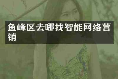 鱼峰区去哪找智能网络营销