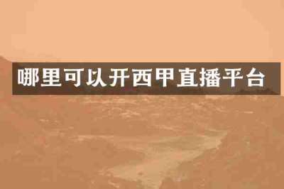 哪里可以开西甲直播平台