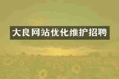大良网站优化维护招聘