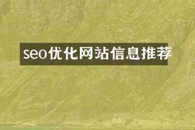 seo优化网站信息推荐