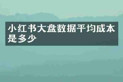 小红书大盘数据平均成本是多少