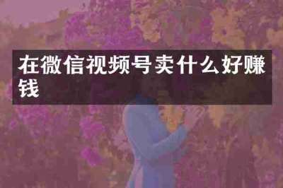 在微信视频号卖什么好赚钱