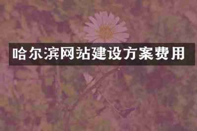 哈尔滨网站建设方案费用