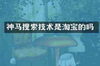 神马搜索技术是淘宝的吗
