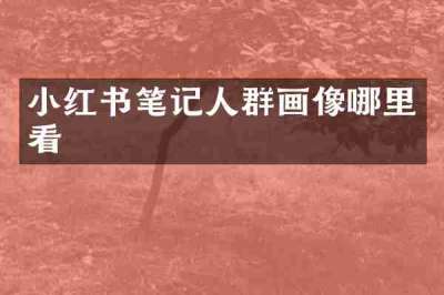 小红书笔记人群画像哪里看