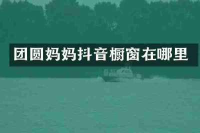 团圆妈妈抖音橱窗在哪里