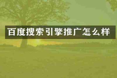 百度搜索引擎推广怎么样