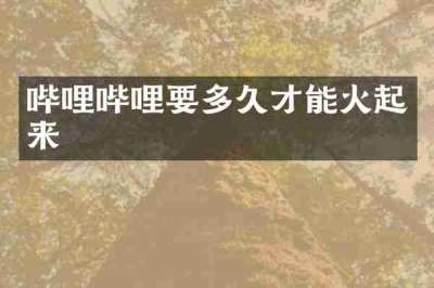 哔哩哔哩要多久才能火起来