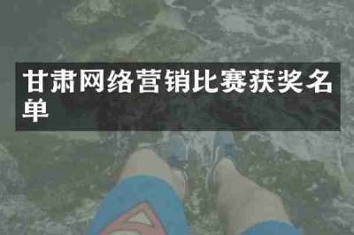 甘肃网络营销比赛获奖名单