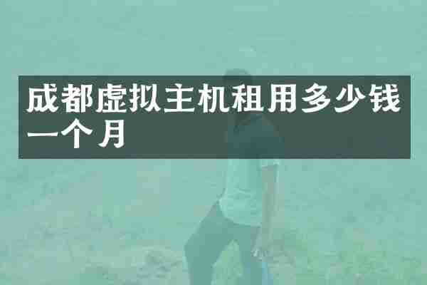 成都虚拟主机租用多少钱一个月