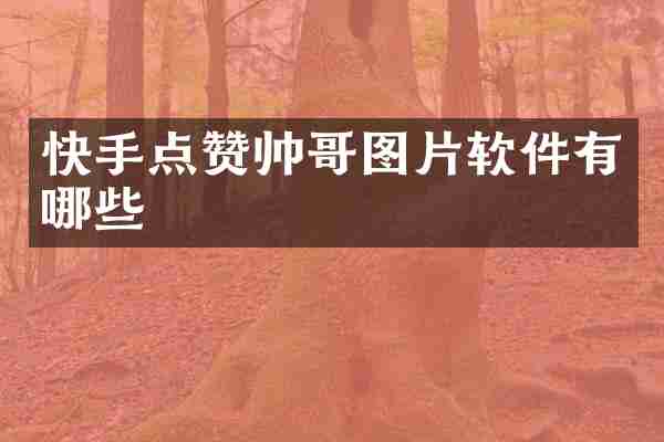 快手点赞帅哥图片软件有哪些