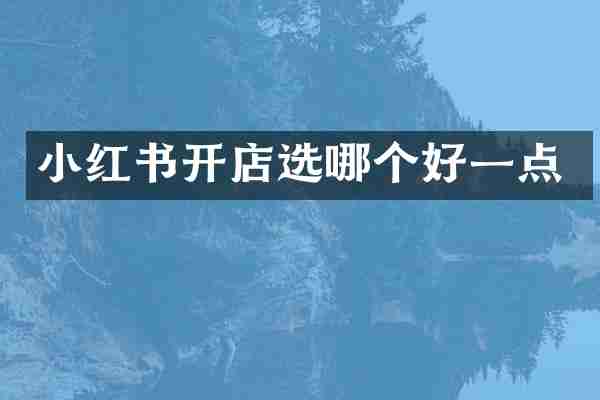 小红书开店选哪个好一点