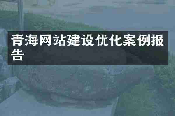 青海网站建设优化案例报告