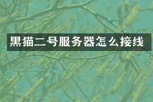 黑猫二号服务器怎么接线