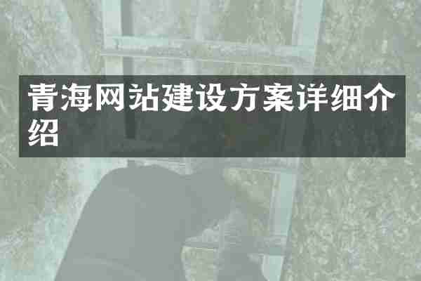 青海网站建设方案详细介绍