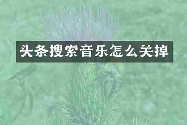 头条搜索音乐怎么关掉
