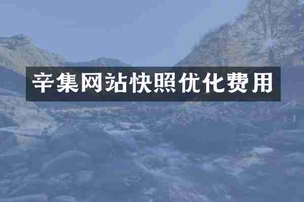 辛集网站快照优化费用