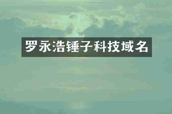 罗永浩锤子科技域名