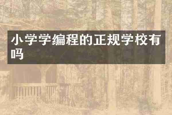 小学学编程的正规学校有吗