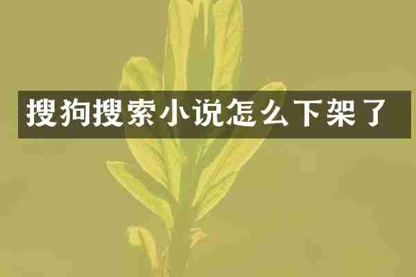 搜狗搜索小说怎么下架了
