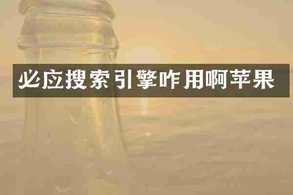 必应搜索引擎咋用啊苹果