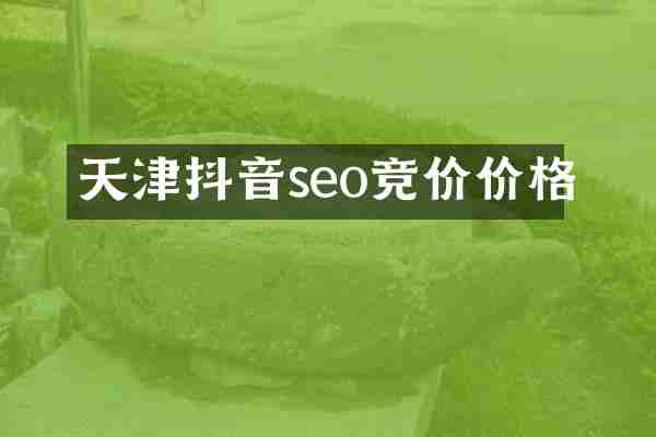 天津抖音seo竞价价格