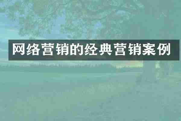 网络营销的经典营销案例