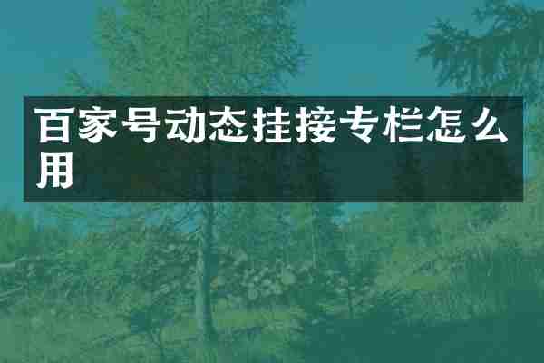 百家号动态挂接专栏怎么用