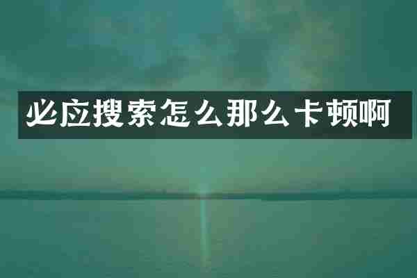 必应搜索怎么那么卡顿啊