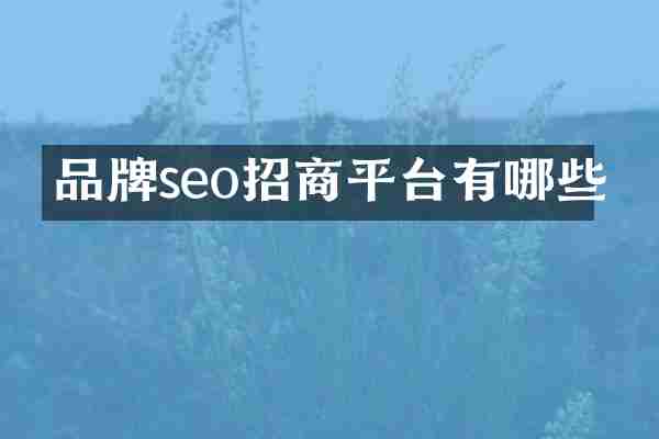 品牌seo招商平台有哪些
