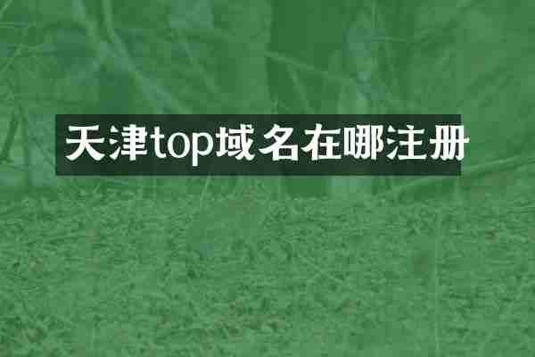 天津top域名在哪注册