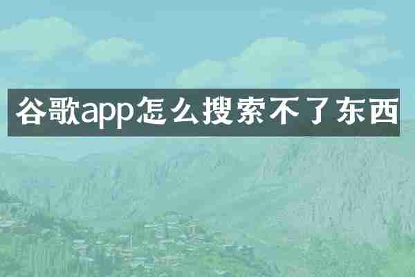 谷歌app怎么搜索不了东西