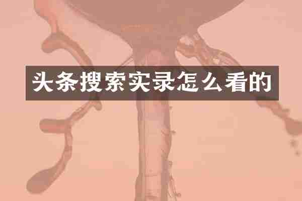 头条搜索实录怎么看的