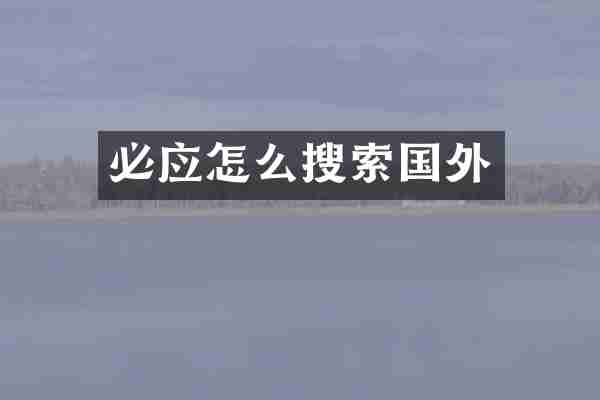 必应怎么搜索国外