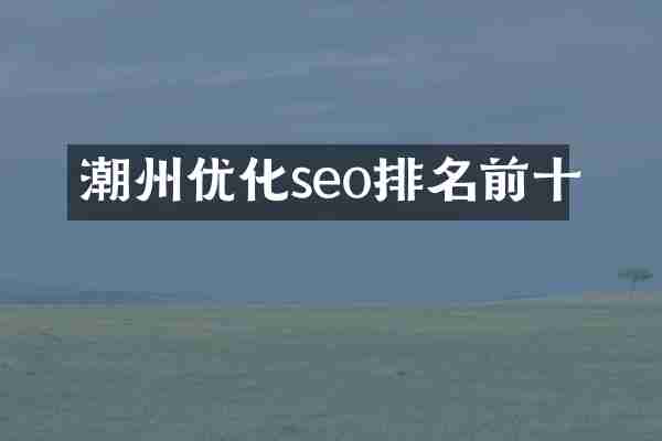 潮州优化seo排名前十